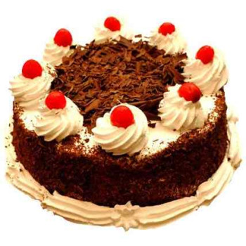 Black Forest Delight Black Forest Delight