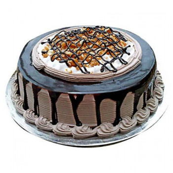 Chocolate Nova Cake Chocolate Nova Cake