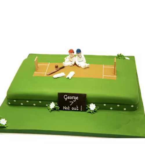 Customized Cricket Pitch Cake Delivery in Delhi
