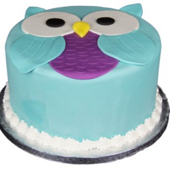 Owl Fondant Cake Owl Fondant Cake