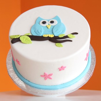 Owl Theme Designer Cake Owl Theme Designer Cake