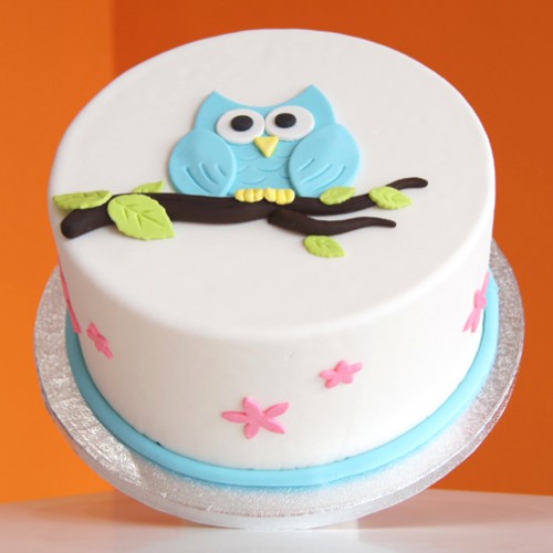 Owl Theme Designer Cake Delivery in Delhi