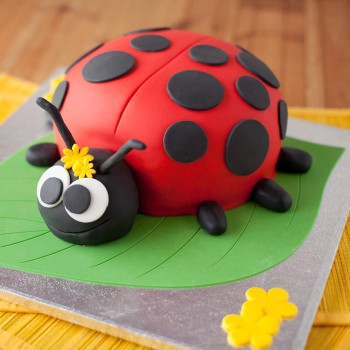 Ladybird Bug Fondant Cake Ladybird Bug Fondant Cake
