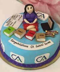 Accountant Theme Cakes