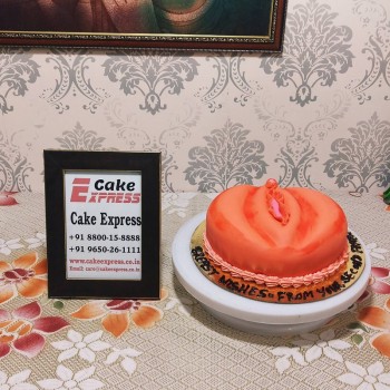 Vagina Theme Fondant Cake