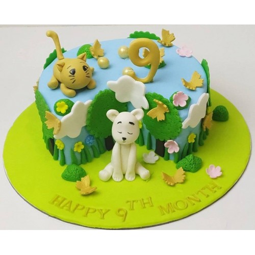 Happy 9 Month Theme Fondant Cake Delivery in Delhi NCR